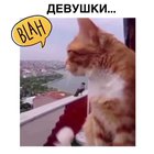 Ты что обиде<wbr>лась?