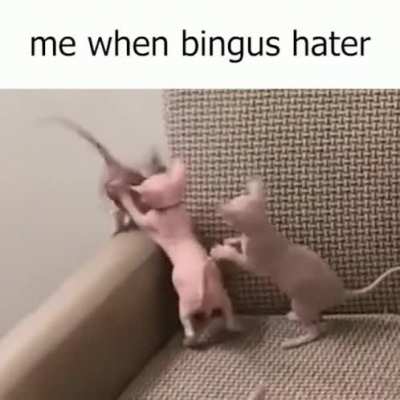 We can all relate