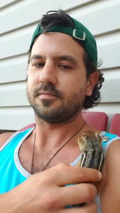 They have begun to assemble. This is Chip . He will be the leader of my animal posse