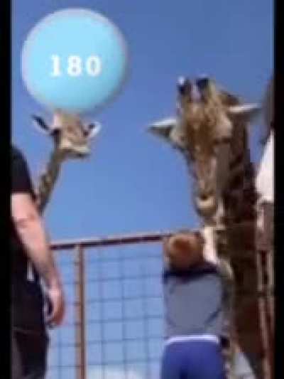 my fav lbp meme