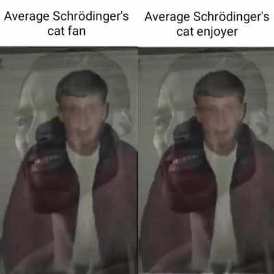 Schrödinger's kitty.