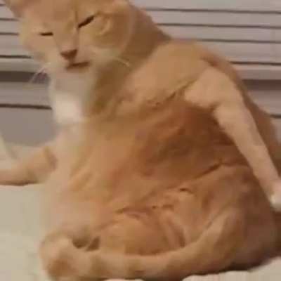 Ahh ...