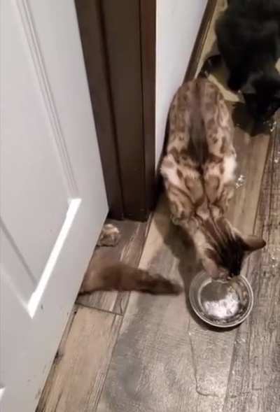 Yoink!
