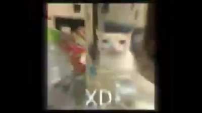 Hora del xd