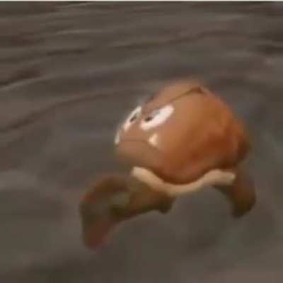Fisj