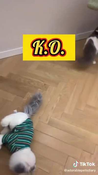Double K.O.