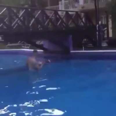 Totally meant to do that.