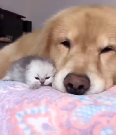 Lovely small baby.