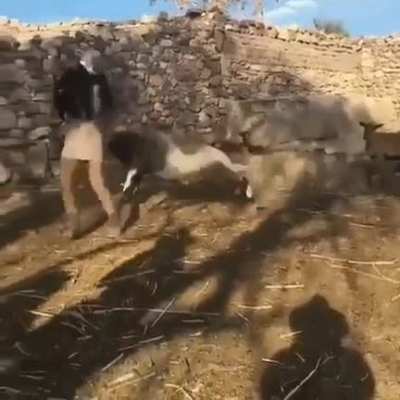 Taking a baby from her mother