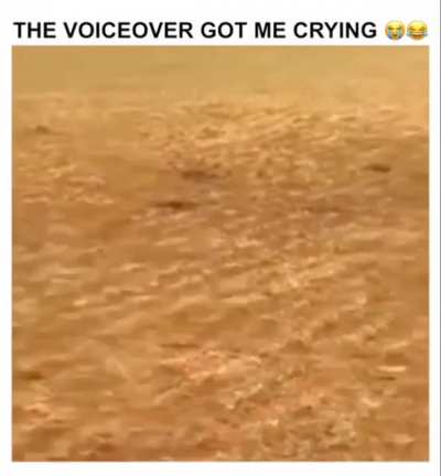 OzzyManReviews