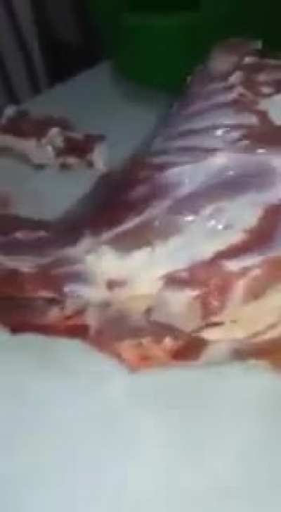 Tigre sacana