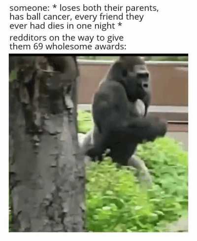 Monke give award