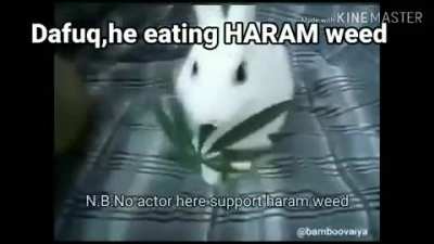 😉The halaL fast furyous allah editi<wbr>on®😳😳<wbr>😳 السباق الأسط<wbr>وري في الله و نشم من فضلك سجل دخولك بشار الأسد على مقاطعك المرئية 🤪🤪