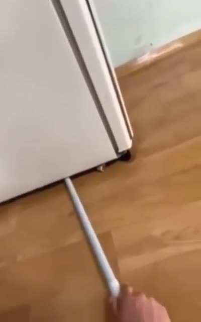 Ratatouille
