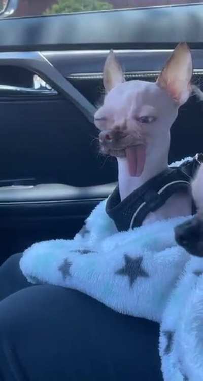 Smeagle