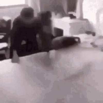 Cockroach 😟