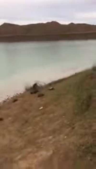 Darwin Awards Tryout