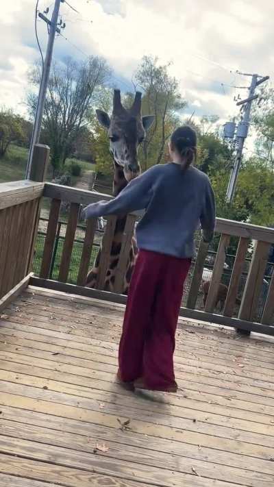 A gentle giant moment you don’t see every day