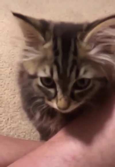 He screm