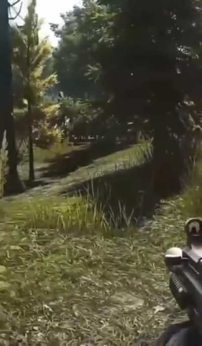 Leaked footage of the so called Tunnel Rat 
