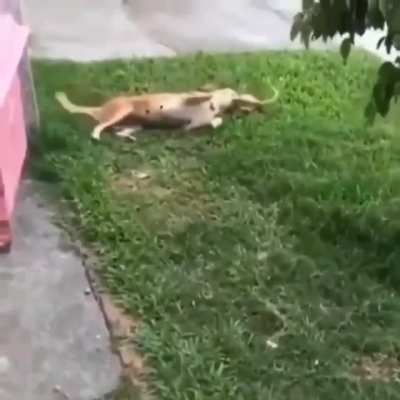 Surprise hugs!