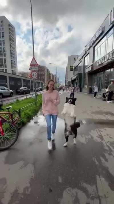 То ли девочка