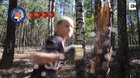 greta thunberg builds a tree to save the planet