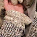 Brought him home 6 hours ago and I can already tell he's kneady