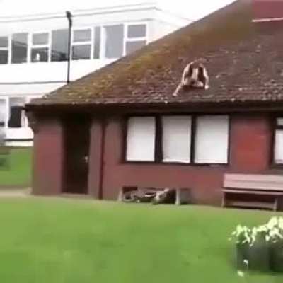 Roof biking