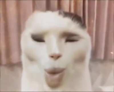 🇧🇩