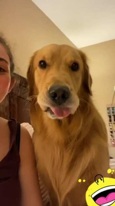 Silly face