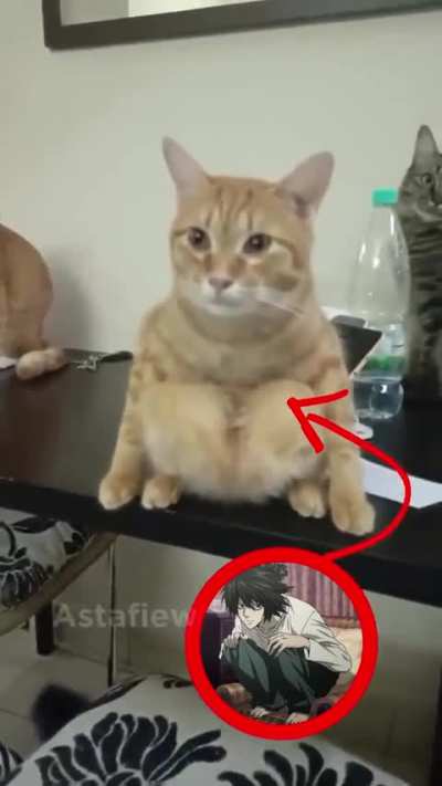 L