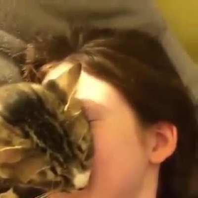 When you love your hooman so much 😻