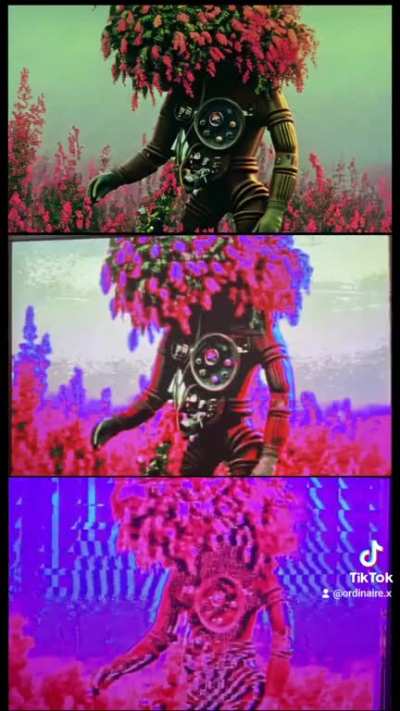 Turning images into video art