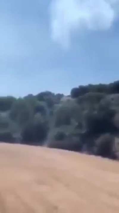 DC-10 Dropping fire retardant