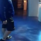 Baby Shark