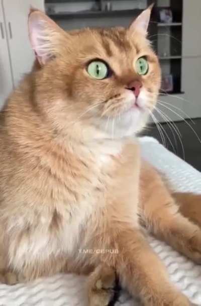Филос<wbr>офия