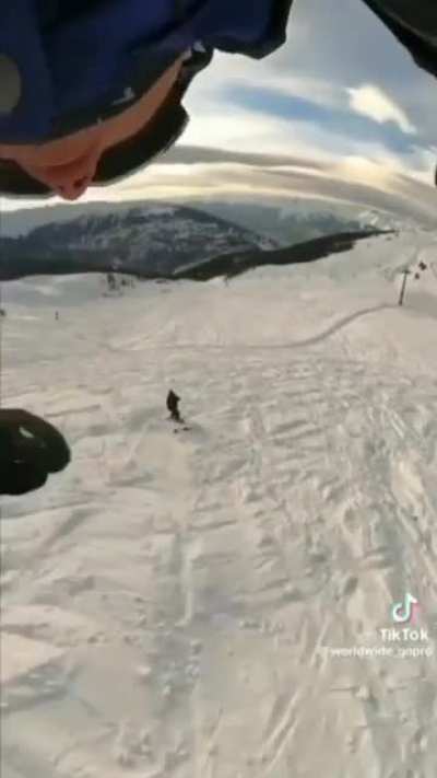 Snow Survivor