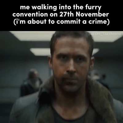 no shit
