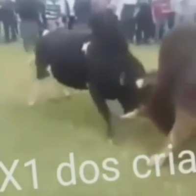 360 perfeito