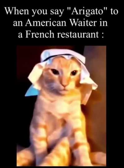 me_irl
