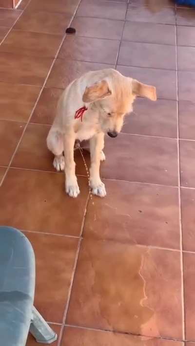When it just doesn't matter.