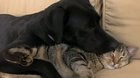 Quarantine has only brought them closer