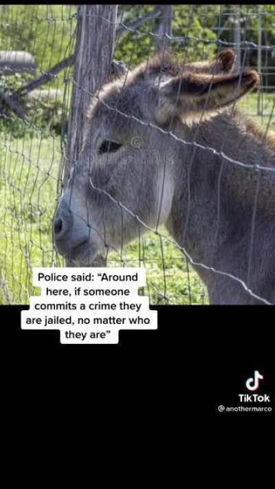 I googled it they’ve arrested a bull and dog too.