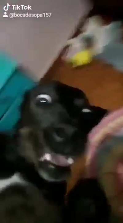 título