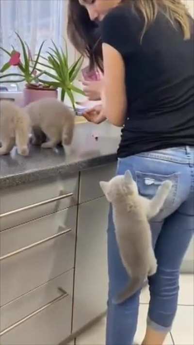 Three criminals make a daring escape