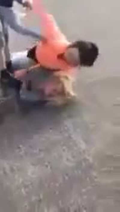 They ran a fight train on her lol