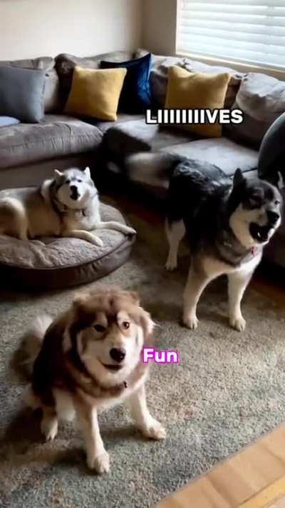 Hecc Off!