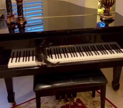 The Pianist