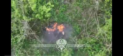 2 Russian Soldiers Hiding Out Under Trees - Accurate FPV Drone Makes a Remarkably Accurate Drop and Fries The Two Assailants - Location Not Confirmed - March 24'